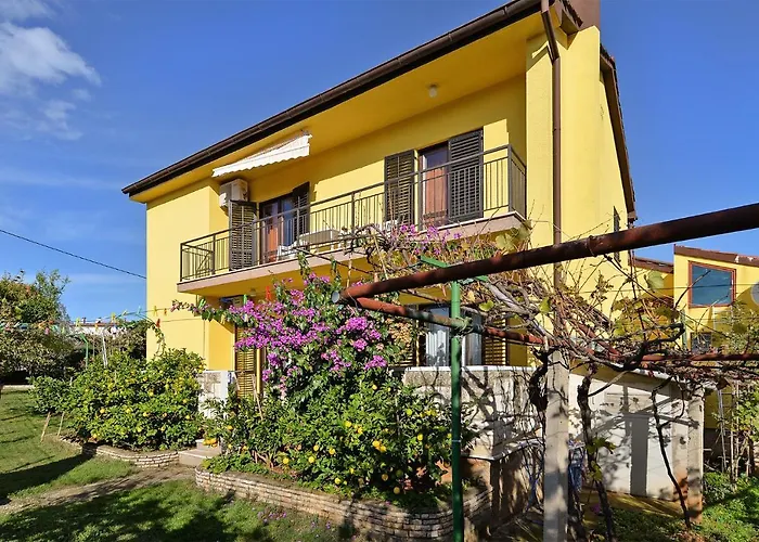 Danijel 1956 Apartman Póla