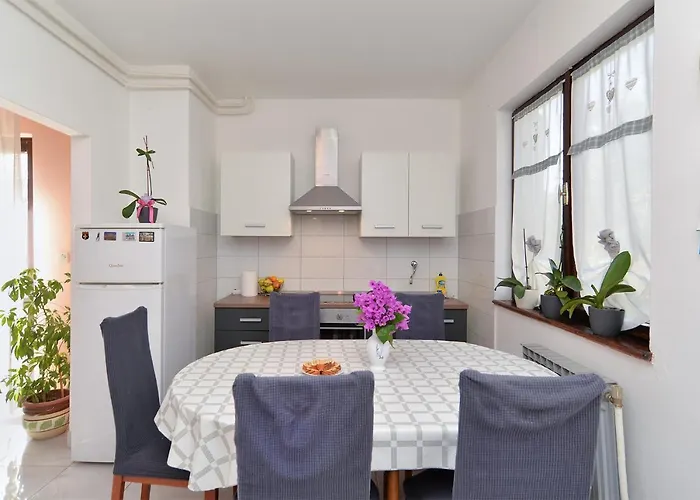 Danijel 1956 Пула